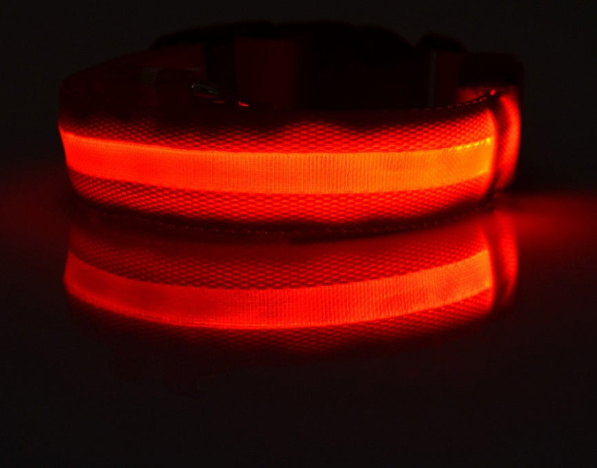 LED Luminous Collar Night Safety Flashing Glow in Dark Dog Cat IGH