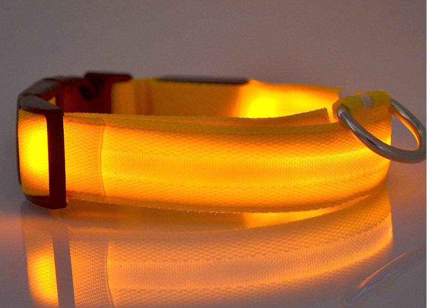 LED Luminous Collar Night Safety Flashing Glow in Dark Dog Cat IGH