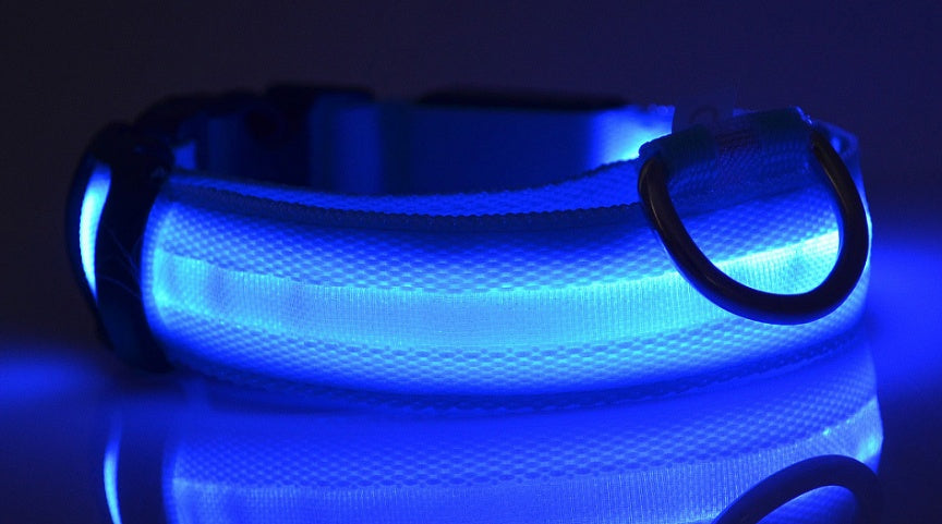 LED Luminous Collar Night Safety Flashing Glow in Dark Dog Cat IGH