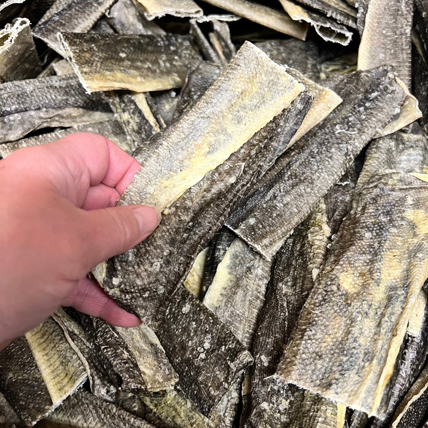 Fish Skin Flatties x 5 BeeRetro Beeswax Food Wraps