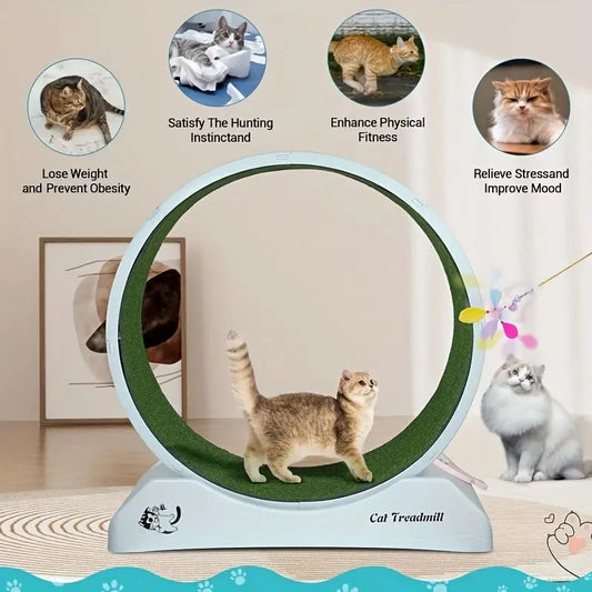 Pet Fitness Wheel - Interactive Treadmill for Cats and Dogs Grey TM