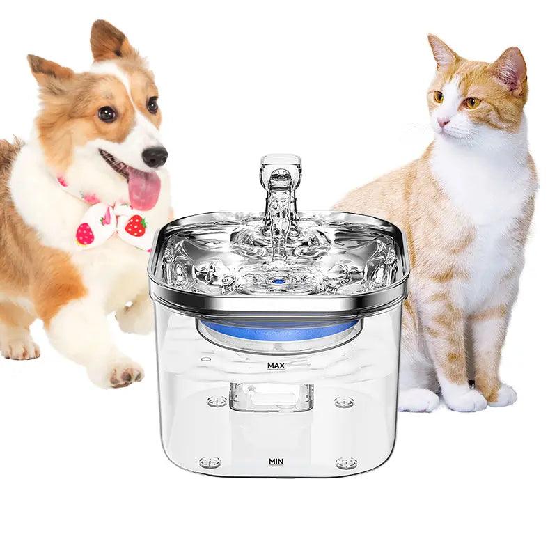 Pet Hydration Fountain