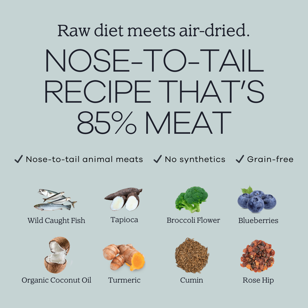 Perfect Superfood - 7 Day Trial Yumwoof Natural Pet Food