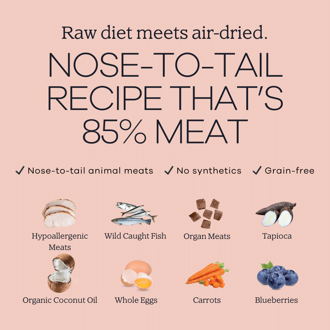 Perfect Superfood - 7 Day Trial Yumwoof Natural Pet Food