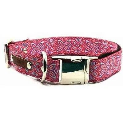 Chic Collar for Stylish Pooches Finnigan's Play Pen