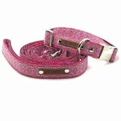 Chic Collar for Stylish Pooches Finnigan's Play Pen