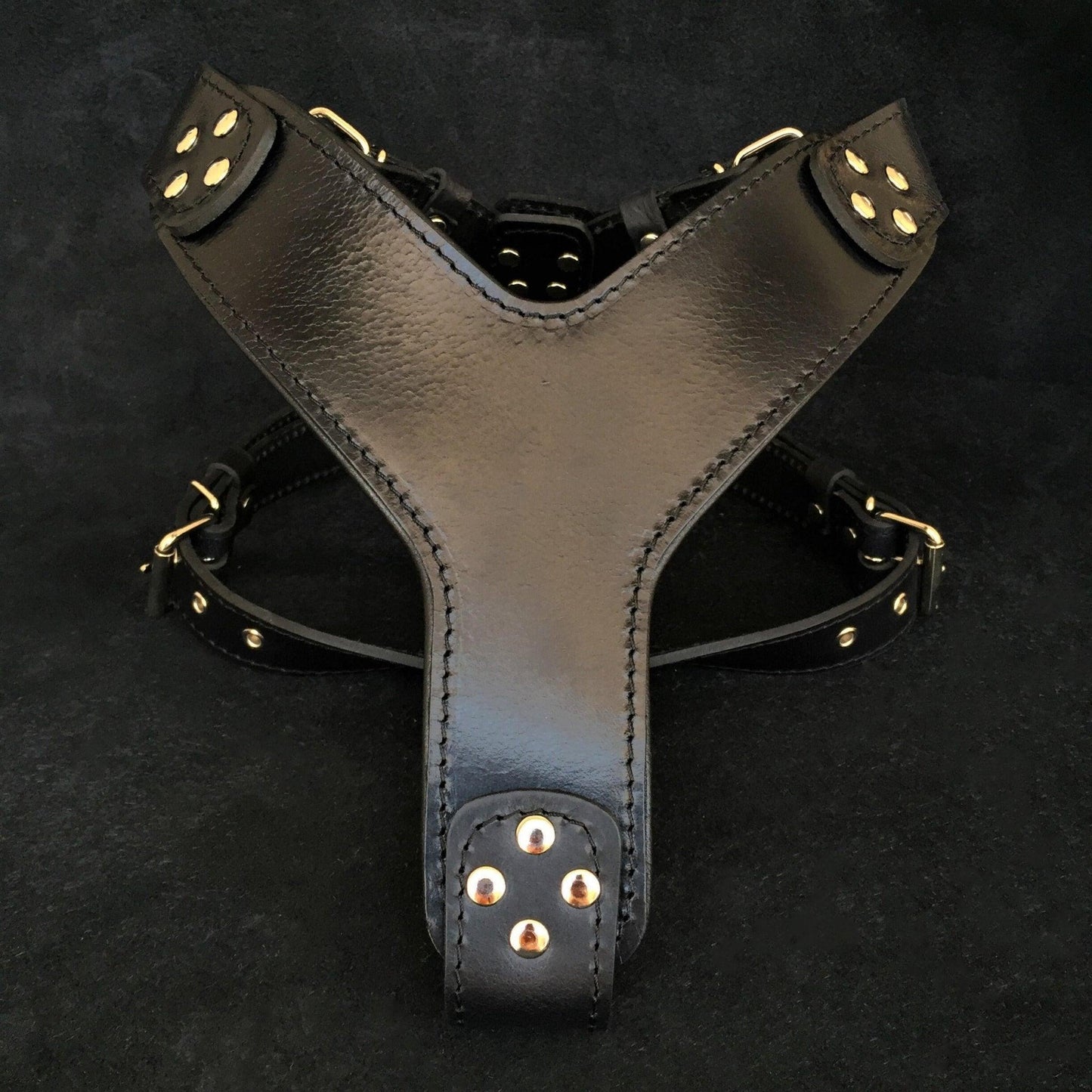 The ''Style'' harness Black BESTIA