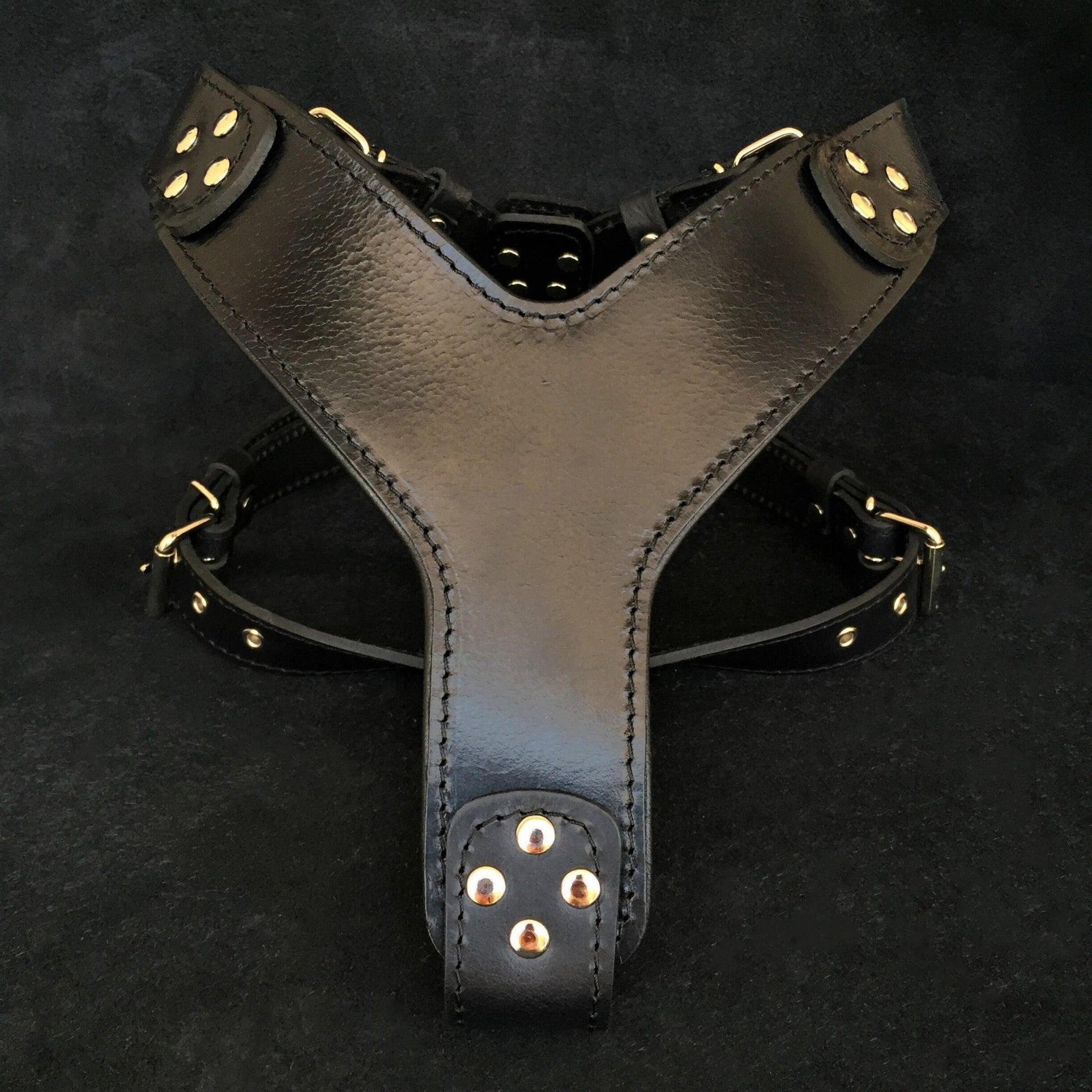 The ''Style'' harness Black BESTIA